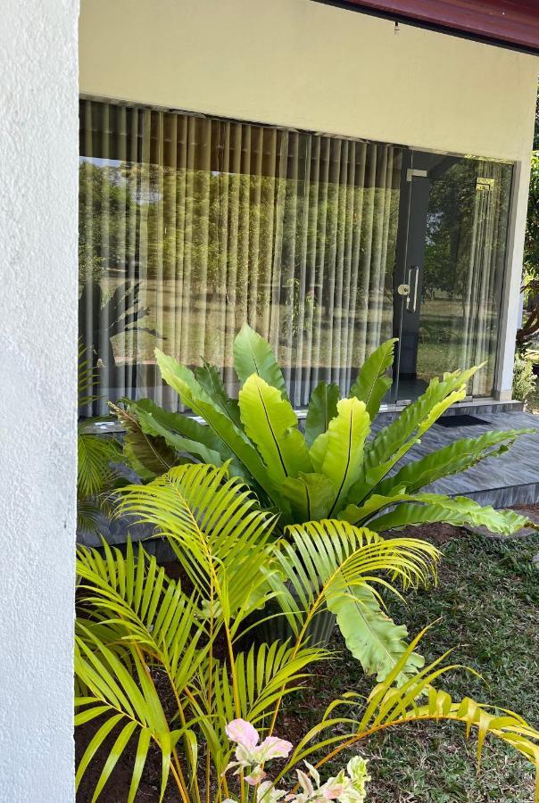 Nature Resort Cidade Antiga de Polonnaruva Exterior foto
