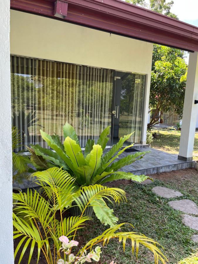 Nature Resort Cidade Antiga de Polonnaruva Exterior foto