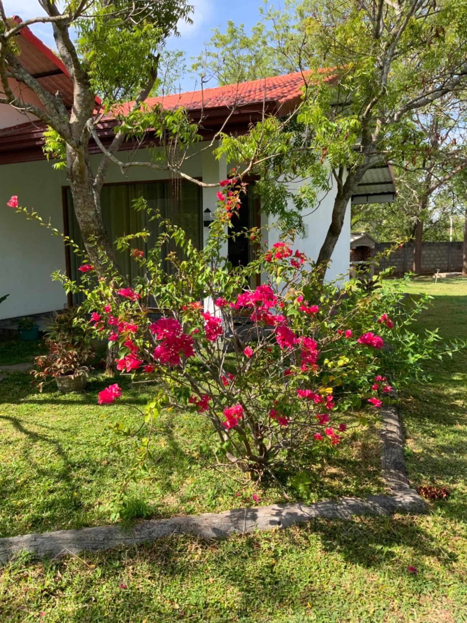Nature Resort Cidade Antiga de Polonnaruva Exterior foto