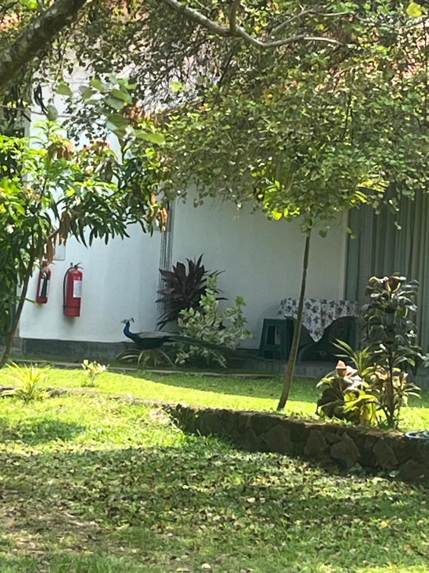 Nature Resort Cidade Antiga de Polonnaruva Exterior foto